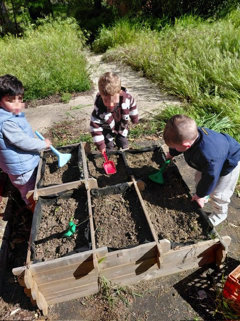 Alumnos de escuela infantil en Torrejón utilizando herramientas de juguete para preparar la tierra del huerto.