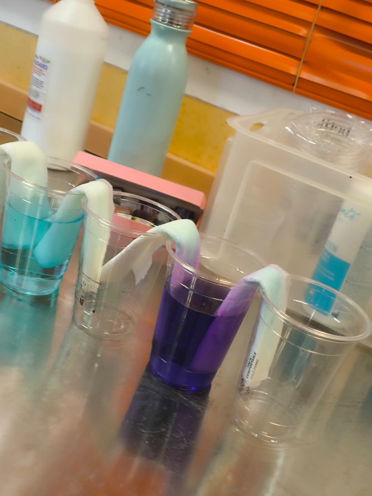 Primer plano de vasos con agua azul y morada conectados por servilletas de papel blancas que absorben el color, en un taller de ciencia infantil.