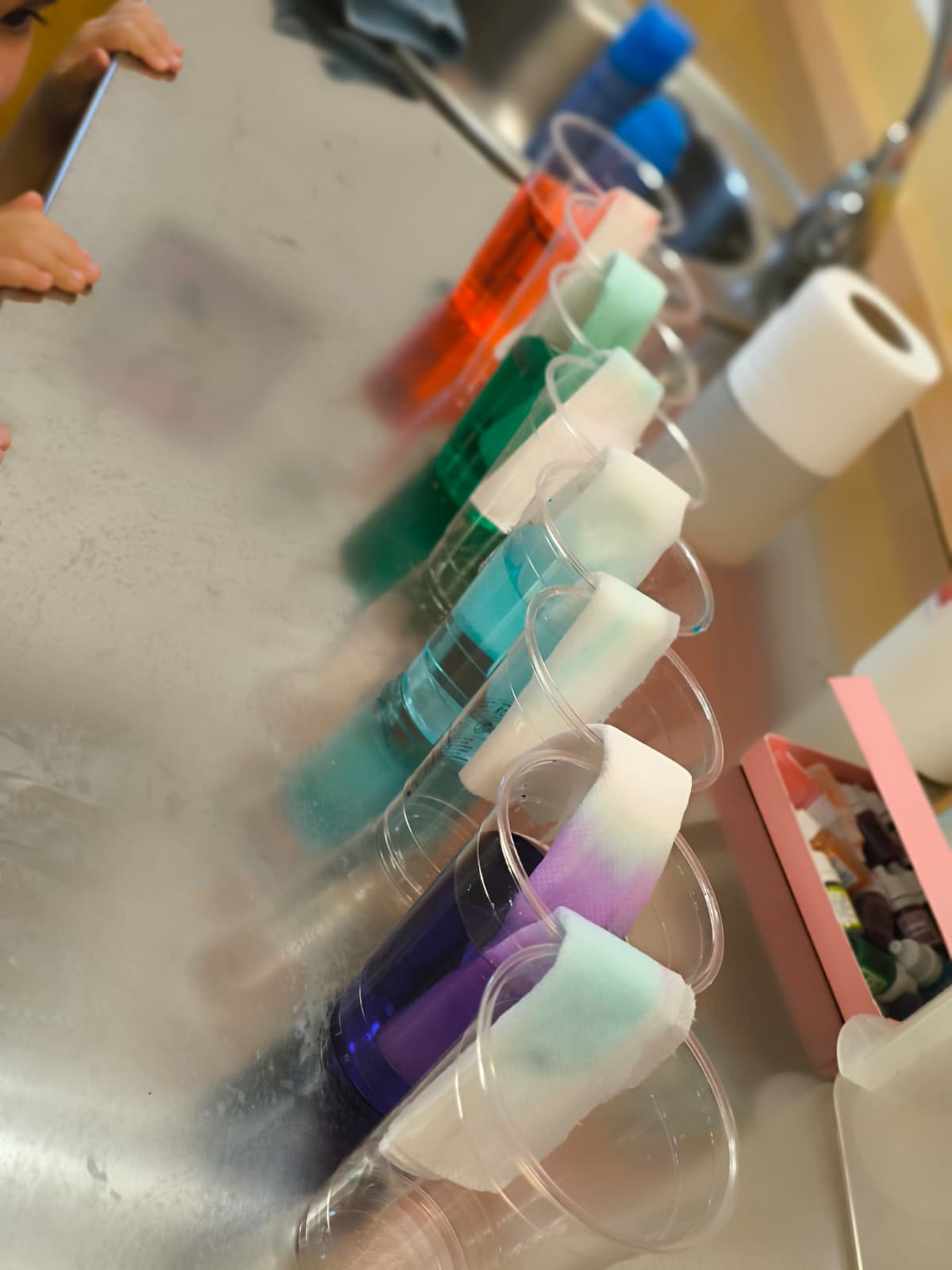 Fila de vasos con agua de colores en perspectiva sobre una mesa de metal, mostrando el proceso de capilaridad con servilletas de papel.